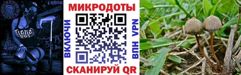 ссылка на мегу сайт  Талдом  Галлюциногенные грибы прущие грибы 